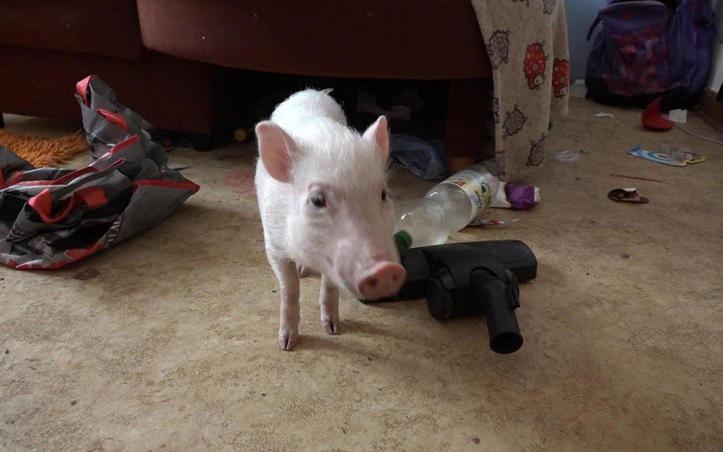 Armes Deutschland - Deine Kinder