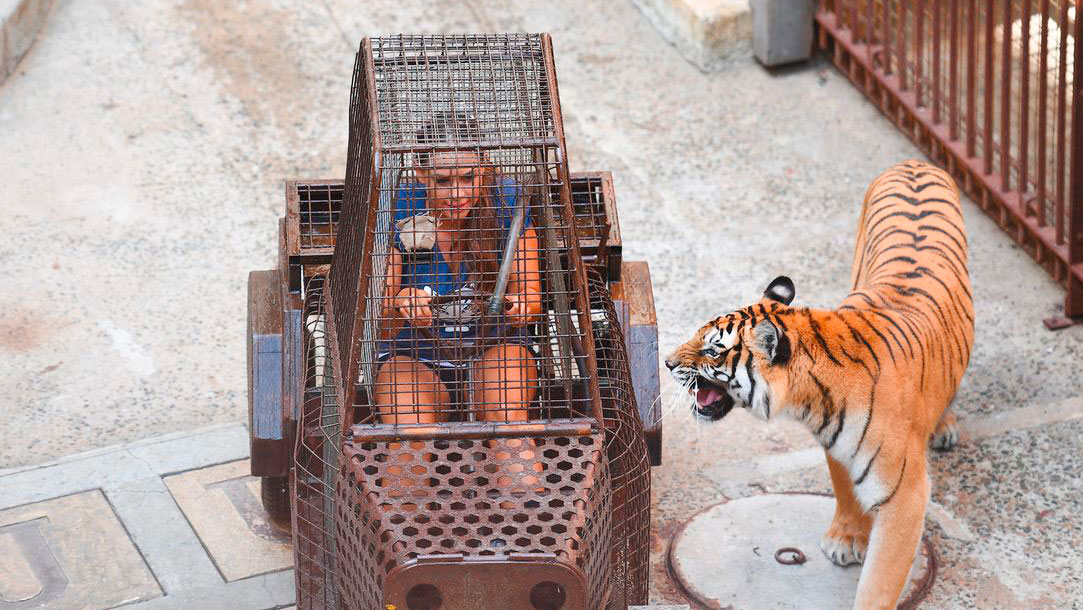Fort Boyard